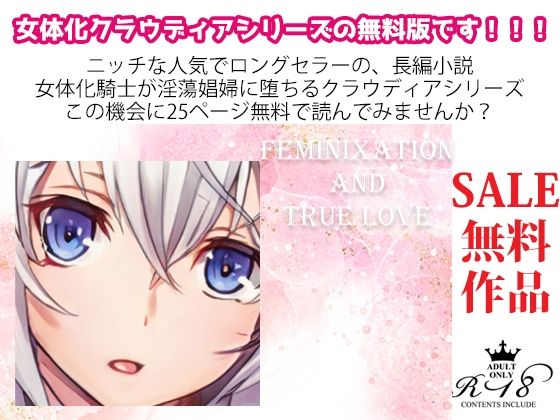 【無料】特別！FANZA限定★スペシャル無料作品3?★25ページ☆/女体化小説集〜えっちシーン、もっともっとあるよ〜