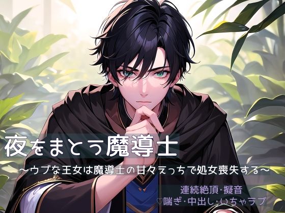 夜をまとう魔導士 〜ウブな王女は魔導士の甘々えっちで処女喪失する〜