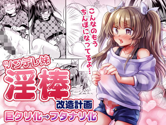 ツンデレ妹淫棒改造計画
