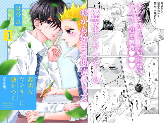 無垢なヤンキーに嘘をつく 完全版 VOL.1