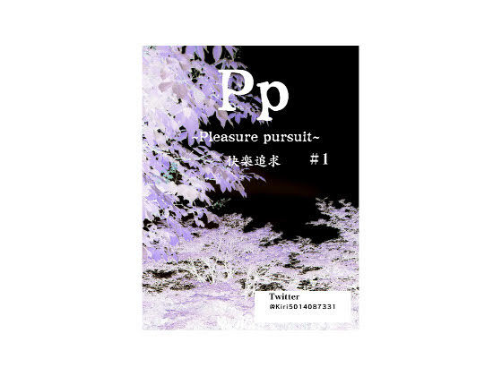 Pp（pleasure pursuit）快楽追求